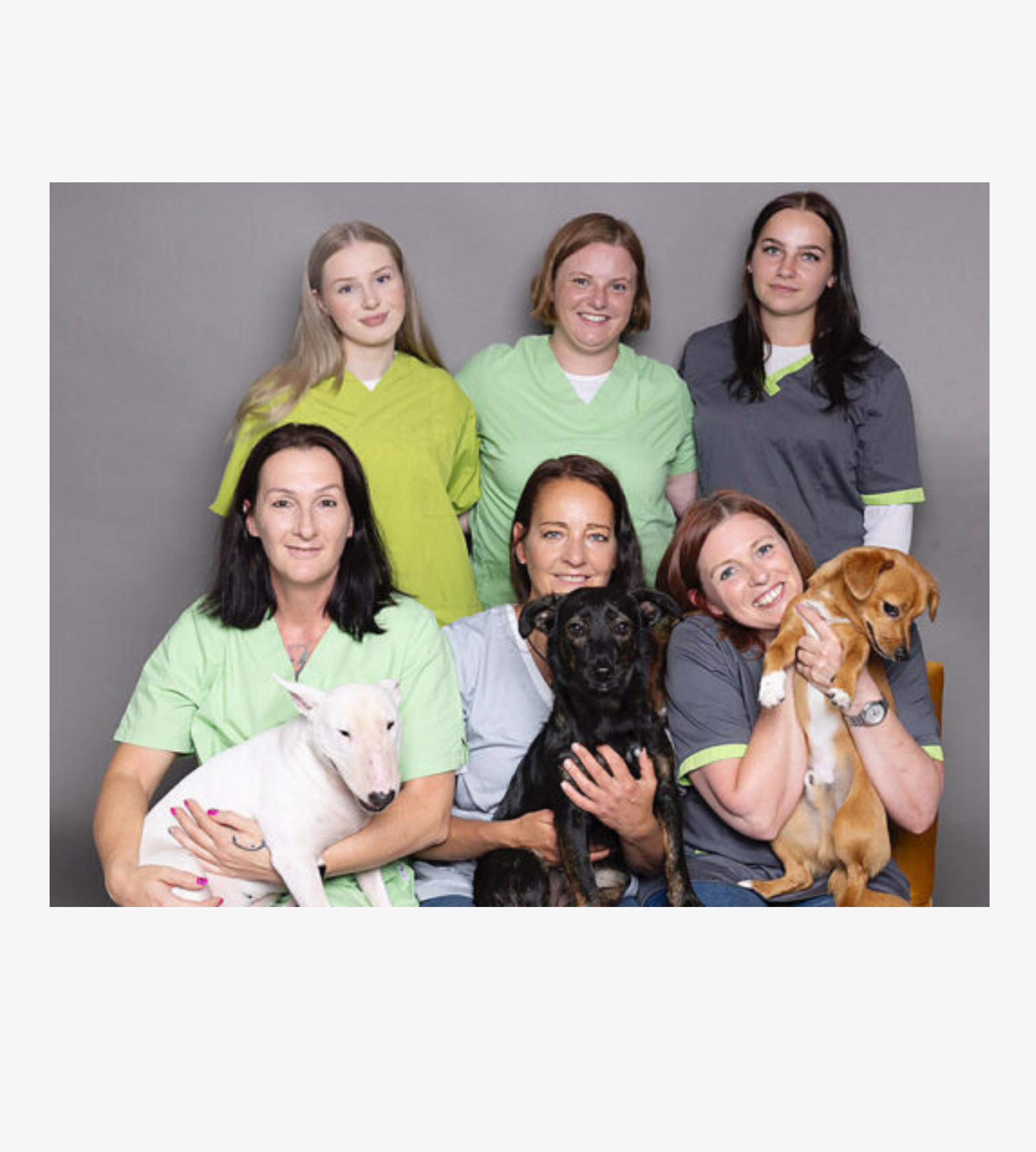 Tierarztpraxis Katja Neuhoff - unsere Vision